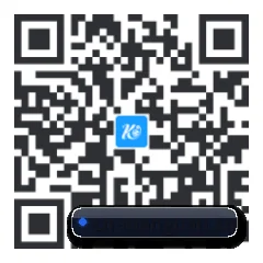 系统版 iOS 二维码